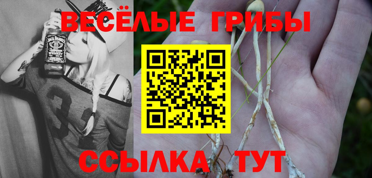цены   Галлюциногенные грибы мухоморы  Вход с VPN  Прокопьевск  Псилоцибиновые грибы Psilocybine cubensis 